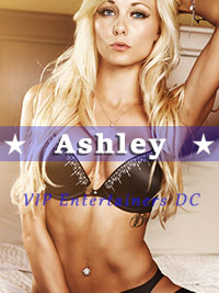 Washington DC Escorts